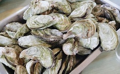 津渝视频完整版张